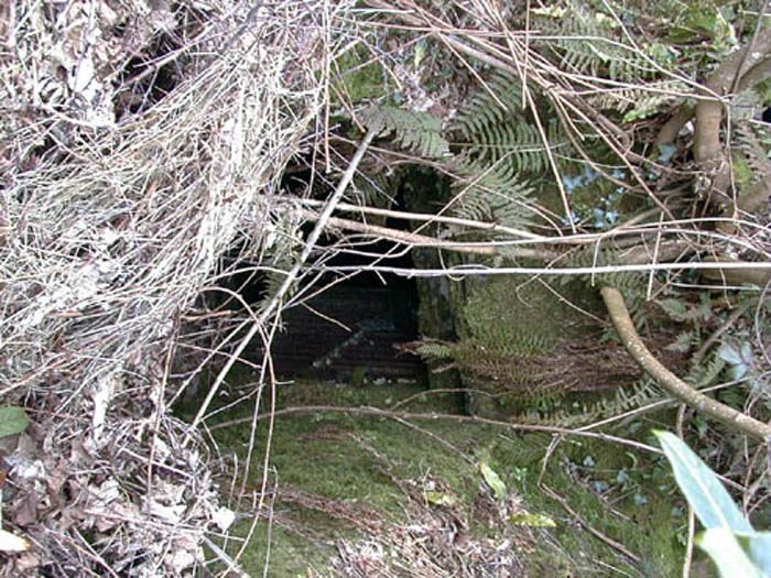 Opem tomb door.jpg 125.6K